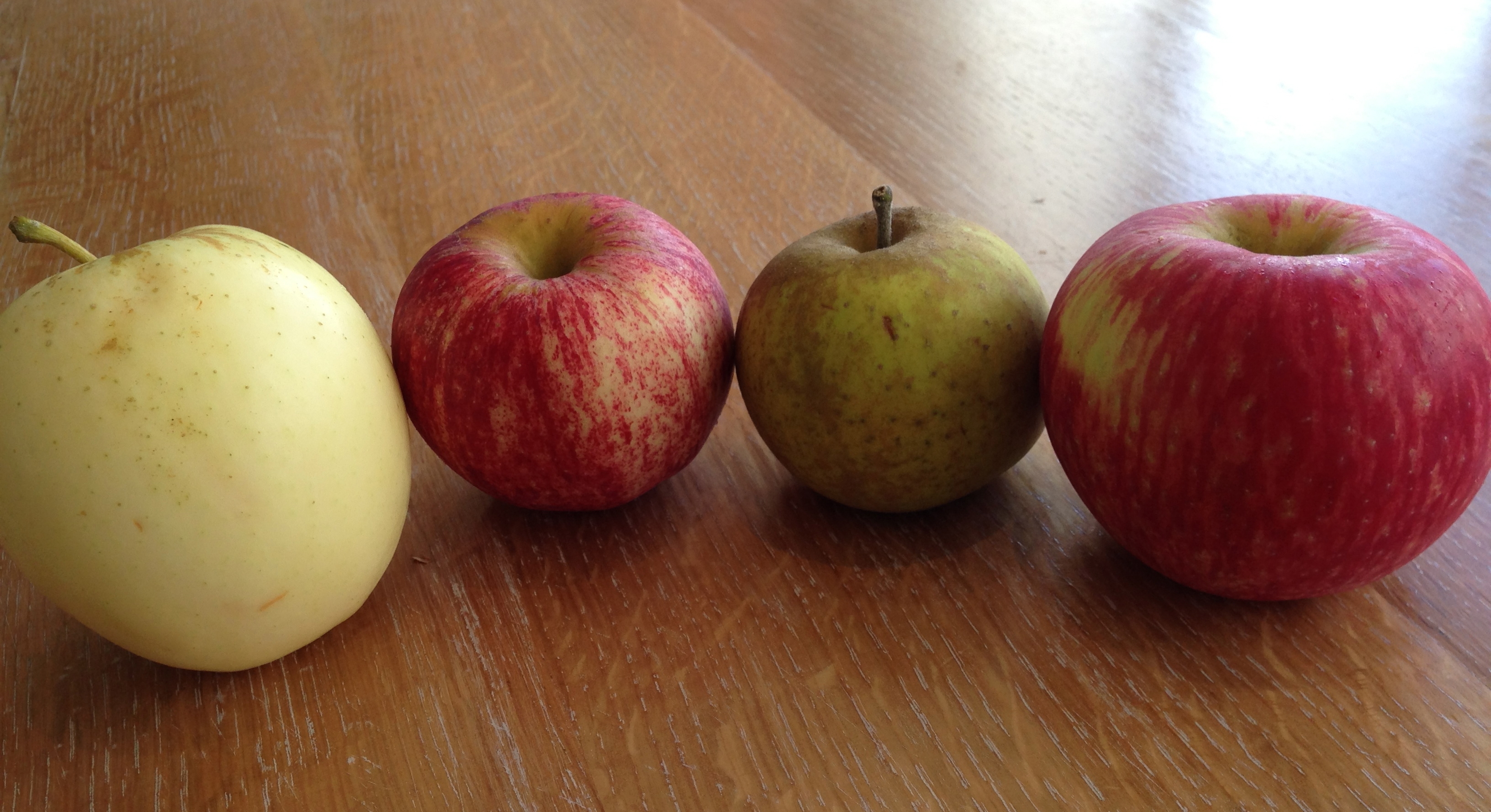 apples to apples, week four: golden supreme, gala, ashmead's kernel, and honeycrisp