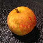 kidd's orange red apple