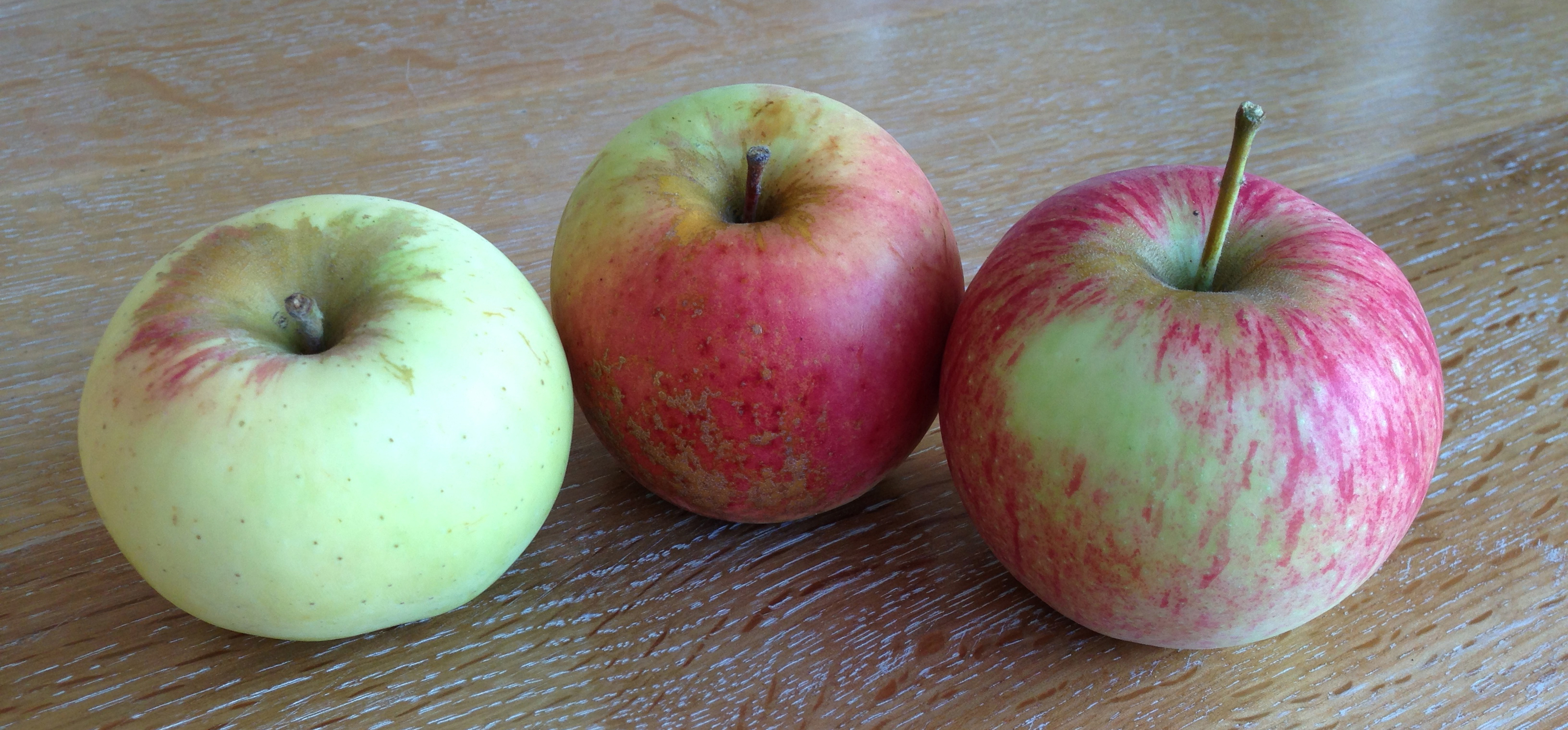apples to apples VI: hawaiian, ozark gold, jonagold