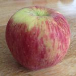 davisson apple